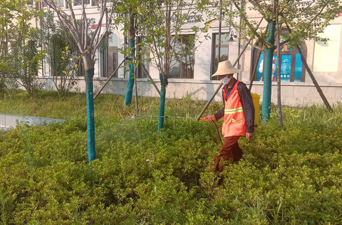 绿化 绿植养护